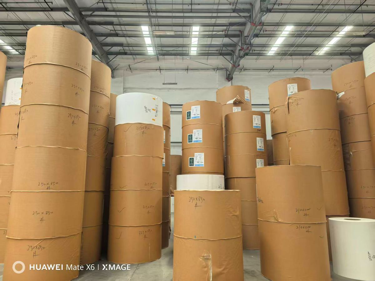 Single-Side Coated White Cardboard